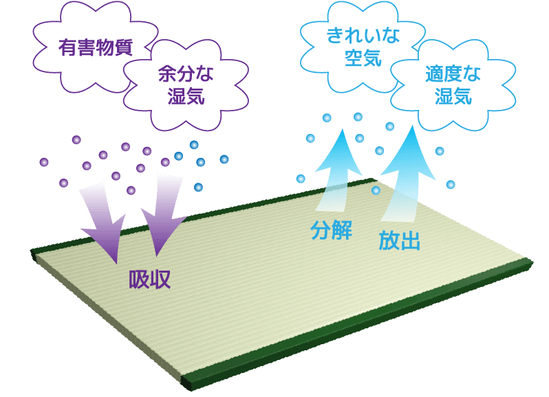空気の清浄化・リラックス作用・優れた吸放湿性